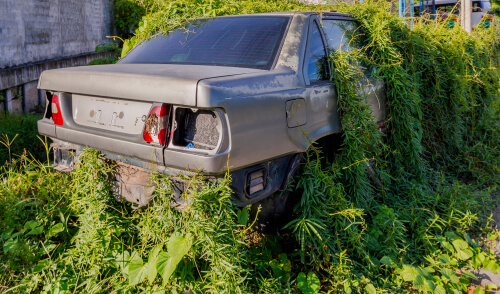 junk car