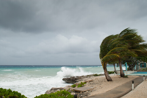 hurricanes lashing the coastline