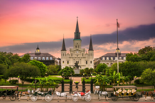 Jackson Square - NLOA