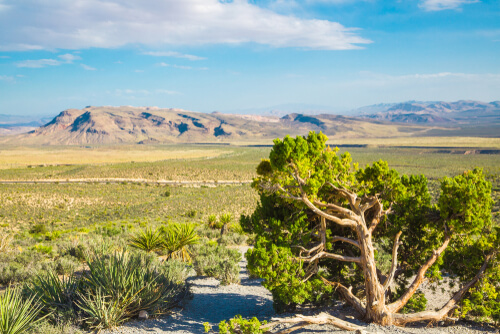 Red Rock Canyon