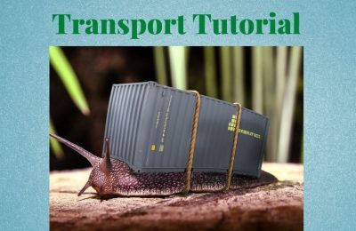 Car Shipping Container Transport Tutorial