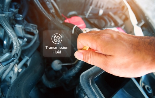 check transmission fluid