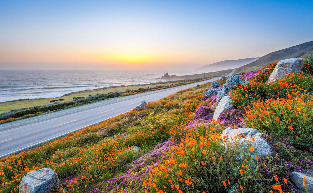 California via Pacific Coast